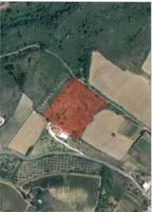 Alenquer, Lisbon 2580-556, Portugal