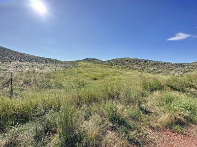 000 Sidewinder Road, Buffalo, Wyoming 82834, Amerika Birleşik Devletleri