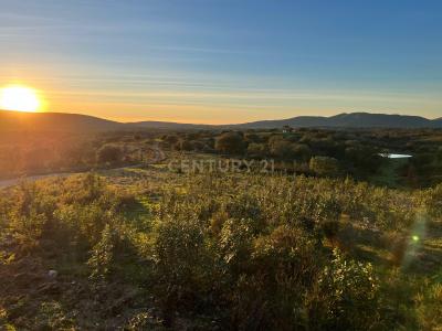 Moura, ベージャ 7875-369, ポルトガル