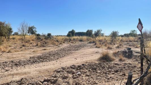 布朗库堡区, 布朗库堡区 6000-000, 葡萄牙