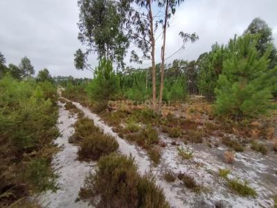 Marinha Grande, Leiria 2430, Portugalia