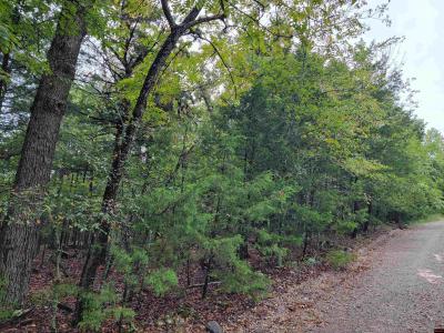 Lots 6-10 HUDSON BAY, Oakland, Arkansas 72661, Stati Uniti