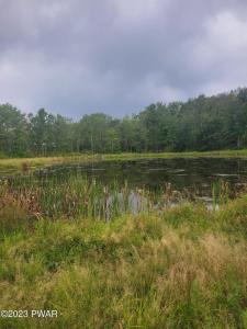 Maplewood Road, Lake Ariel, Pennsylvania 18436, USA