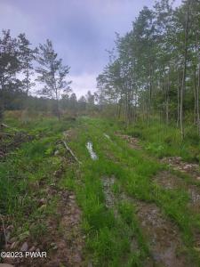 Maplewood Road, Lake Ariel, ペンシルベニア 18436, アメリカ合衆国