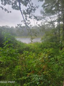 Maplewood Road, Lake Ariel, ペンシルベニア 18436, アメリカ合衆国
