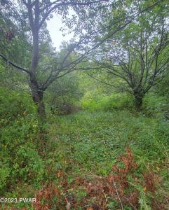 0 Maplewood Road, Lake Ariel, Pennsylvania 18436, USA