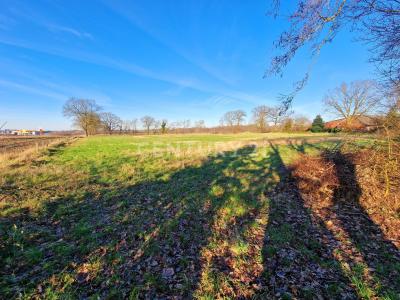 Schortens, Niedersachsen 26419, Germany