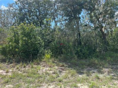 Riverstone St, Webster, Florida 33479, Estados Unidos