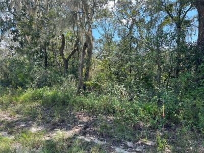 Riverstone St, Webster, Florida 33479, Estados Unidos