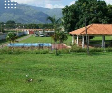 1 1, San Diego, Carabobo 2006, 委內瑞拉