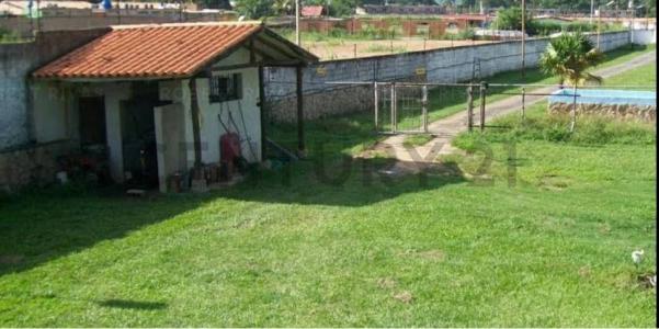 1 1, San Diego, Carabobo 2006, 委內瑞拉