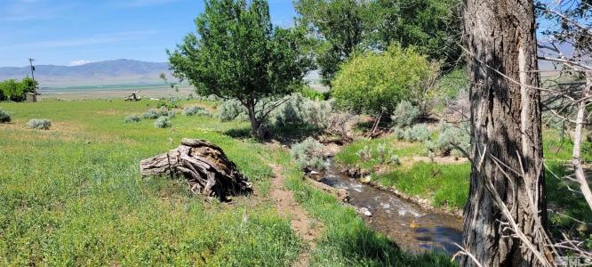 42957 Horse Creek Road, Orovada, Nevada 89425