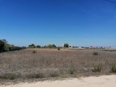 Salvaterra De Magos, סנטרם 2120-194, פורטוגל