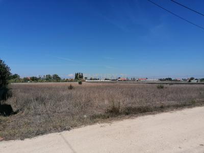 Salvaterra De Magos, Santarem 2120-194, Portugal