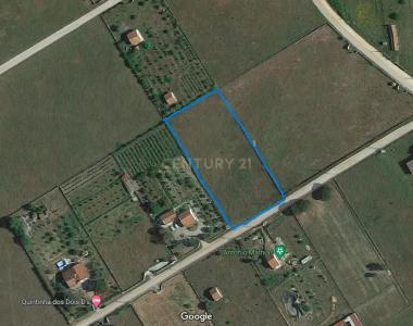 Salvaterra De Magos, Santarem 2120-194, Portugal