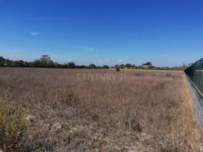 Salvaterra De Magos, Santarem 2120-194, Portugal