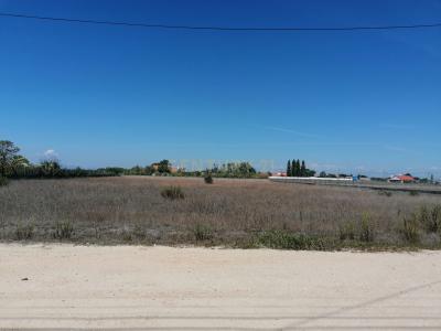 Salvaterra De Magos, Santarem 2120-194, Portugal