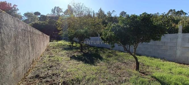 Porto De Mós, Leiria 2485-212, Portugal