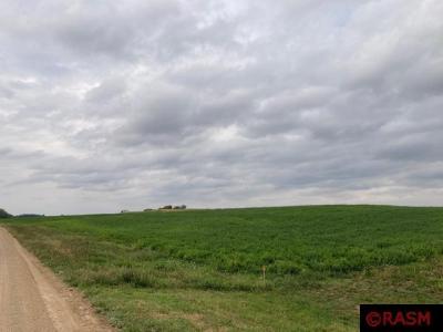 Lot 1 135th Street, Hanska, Minnesota 56041, USA