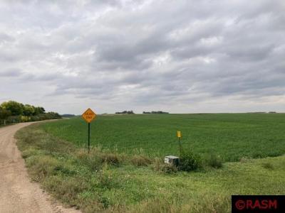 Lot 4 135th Street, Hanska, Minnesota 56041, USA