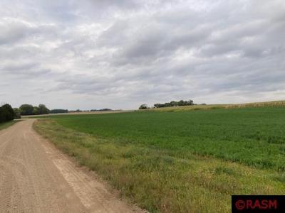Lot 6 135th Street, Hanska, Minnesota 56041, USA