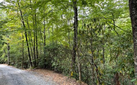 18.8a Compass Crk/Julie Mt, Hayesville, 北卡羅來納州 28904, 美國
