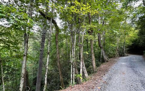 18.8a Compass Crk/Julie Mt, Hayesville, 北卡羅來納州 28904, 美國