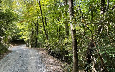 18.8a Compass Crk/Julie Mt, Hayesville, 北卡羅來納州 28904, 美國