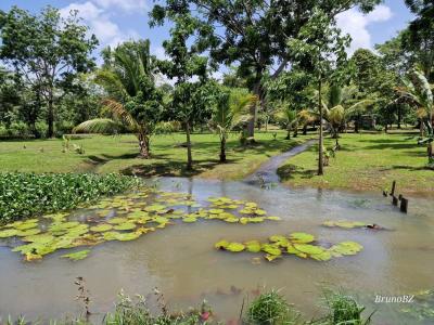 Emeri Grove, Toledo 00001, Belize
