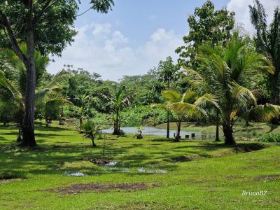 Emeri Grove, Toledo 00001, Belize