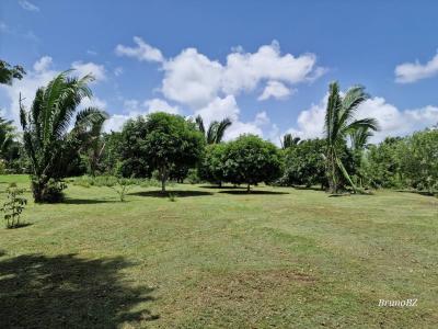 Emeri Grove, Toledo 00001, Belize