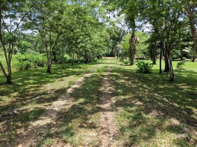 Emeri Grove, Toledo 00001, Belize