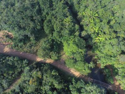 Cayo District, Cayo 00000, Belize