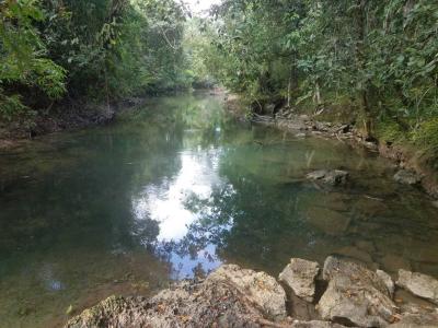 Cayo District, Cayo 00000, Belize