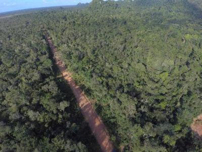 Cayo District, Cayo 00000, Belize