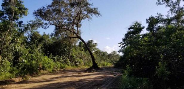 Cayo District, Cayo 00000, Belize