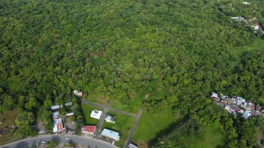 Quepos Aguirre, Puntarenas 00001, Costa Rica