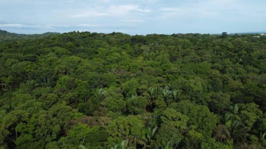 Quepos Aguirre, Puntarenas 00001, קוסטה ריקה