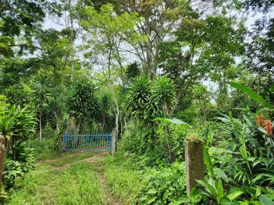 Rivas Pérez Zeledón, San José 00001, Costa Rica