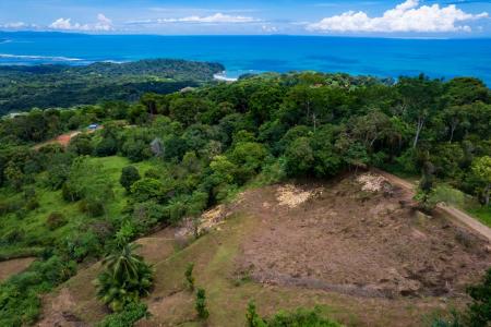 Ojochal Puerto Cortés Osa, Puntarenas 00001, Costa Rica