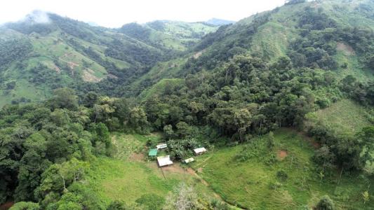 Palmar Sur Osa, 蓬塔雷納斯 00001, 哥斯達尼加