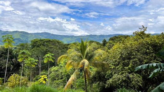Puerto Cortés Osa, Puntarenas 00001, Costa Rica
