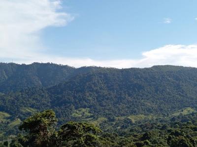 Dominical Osa, Puntarenas 00001, 哥斯達尼加