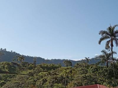 Dominical Osa, Puntarenas 00001, 哥斯達尼加