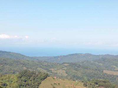 Dominical Osa, Puntarenas 00001, 哥斯達尼加