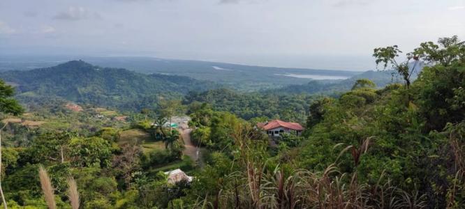 Tres Ríos Puerto Cortés Osa, Puntarenas 00001, Costa Rica