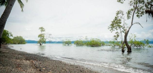 Golfito Osa, Puntarenas 00001, Costa Rica