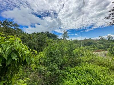 Palmar Sur Osa, 蓬塔雷納斯 00001, 哥斯達尼加