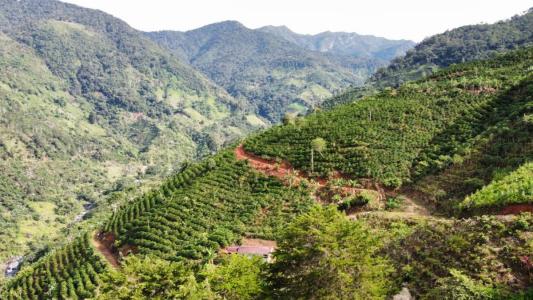 San Isidro Del General Pérez Zeledón, San José 00001, Costa Rica