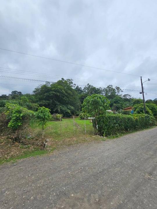 Pavones Turrialba, Cartago 30506, Costa Rica